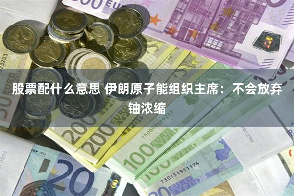 股票配什么意思 伊朗原子能组织主席：不会放弃铀浓缩