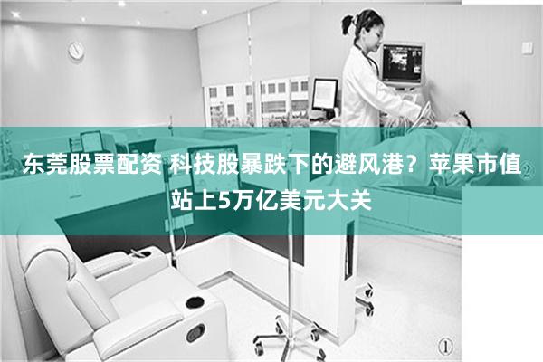 东莞股票配资 科技股暴跌下的避风港？苹果市值站上5万亿美元大关