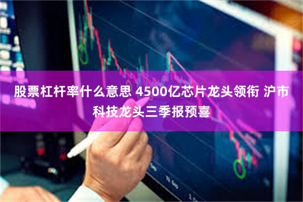 股票杠杆率什么意思 4500亿芯片龙头领衔 沪市科技龙头三季报预喜