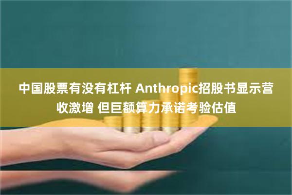 中国股票有没有杠杆 Anthropic招股书显示营收激增 但巨额算力承诺考验估值