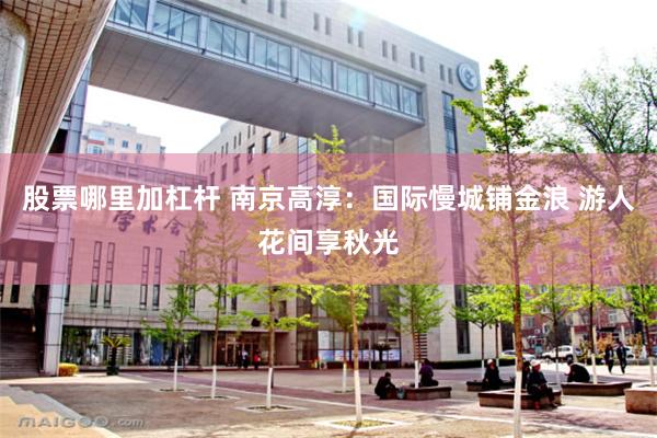 股票哪里加杠杆 南京高淳：国际慢城铺金浪 游人花间享秋光